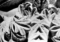 files/capitals/S-DEN-FR/thumbs/S-DEN-FR 0566.jpg